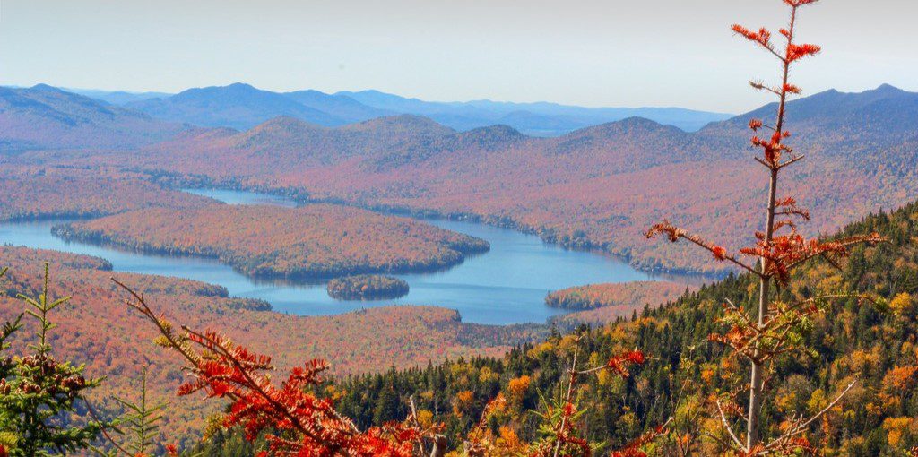 Forest Bathing in Adirondack Mountains