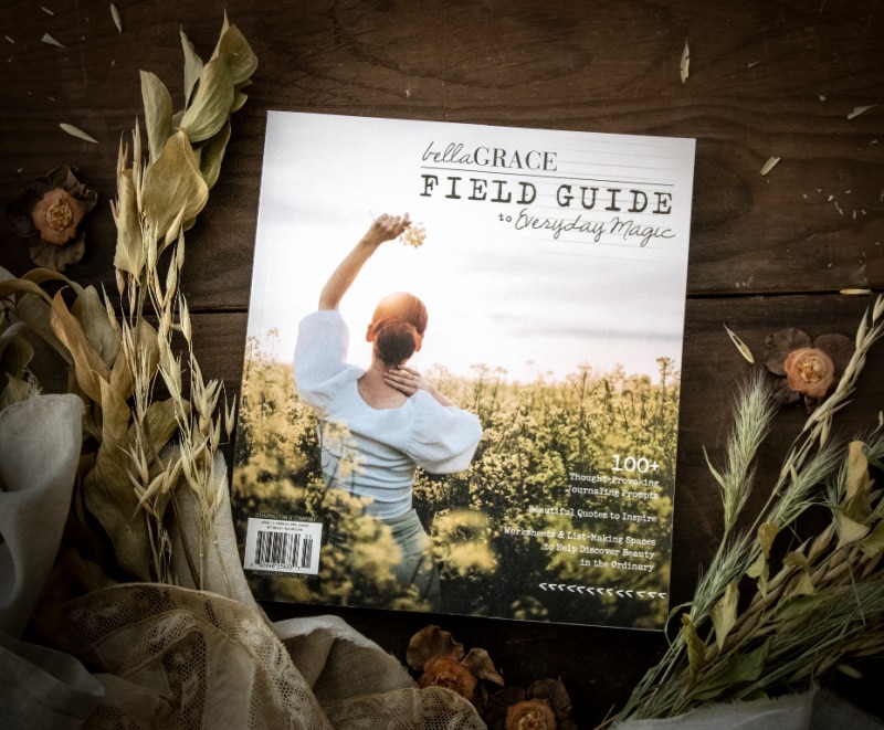 Field Guide to Everyday Magic