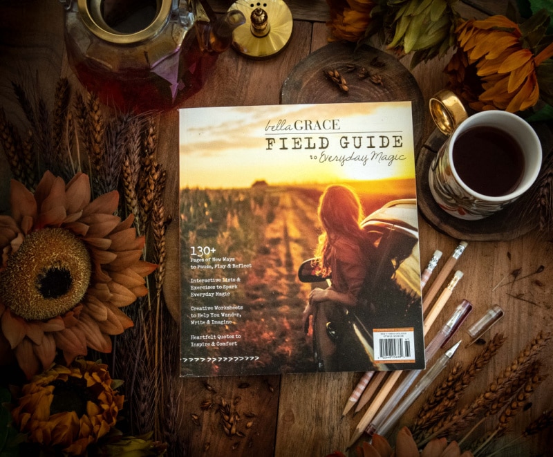 Journal Right In This Book