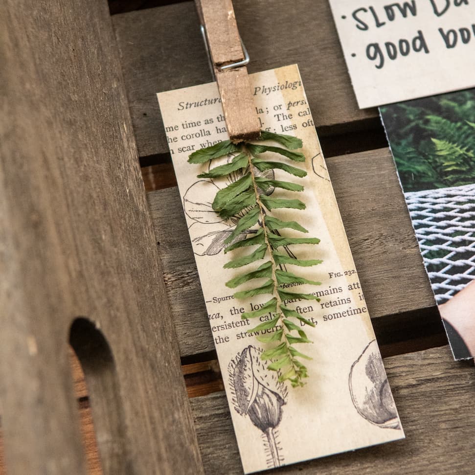 Vision Board Ideas for a Slow, Romantic Summer